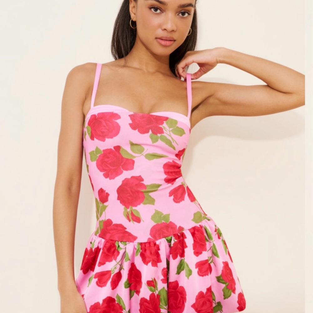 Show Me Your MuMu Pink Rose Print Mini Dress